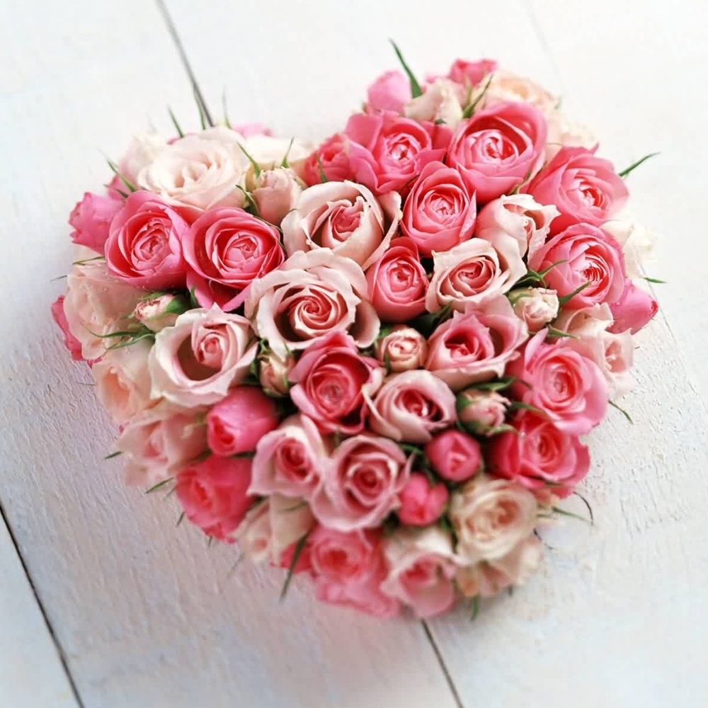 Meet your Posher 💋🥰💋🥰💋